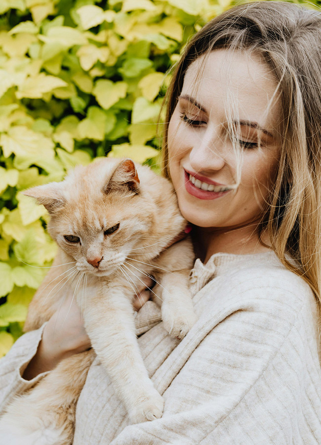 Animals 4